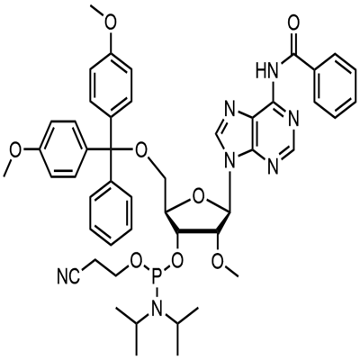 2'-O-Methyl-rA(N-Bz)பாஸ்போராமைடைட்