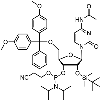 DMT-2′O-TBDMS-rC(ac) பாஸ்போராமிடைட்