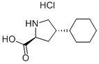trans-4-Cyclohexyl-L-proline ஹைட்ரோகுளோரைடு